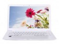 /products/netbook-13-3-pol-windows-xp-atom-n455-wi-fi-branco/